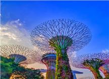 Tour Du Lịch Kết Hợp Singapore - Indonesia - Maylaysia 2023